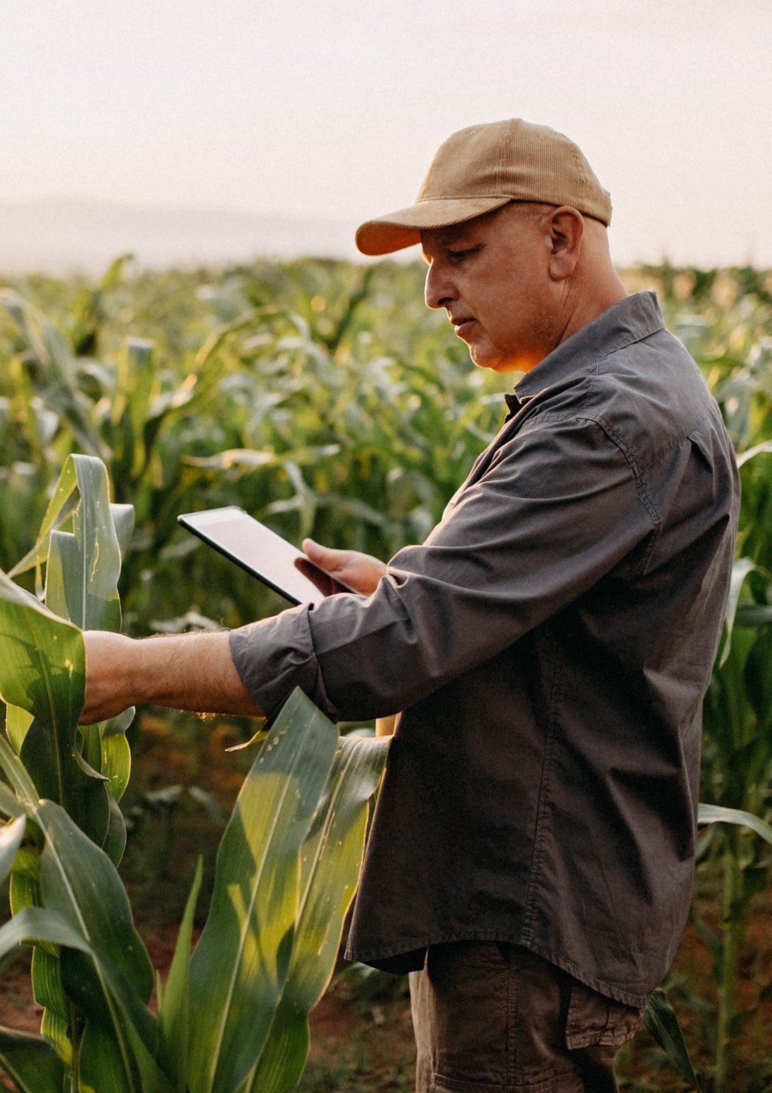 Field tablet man